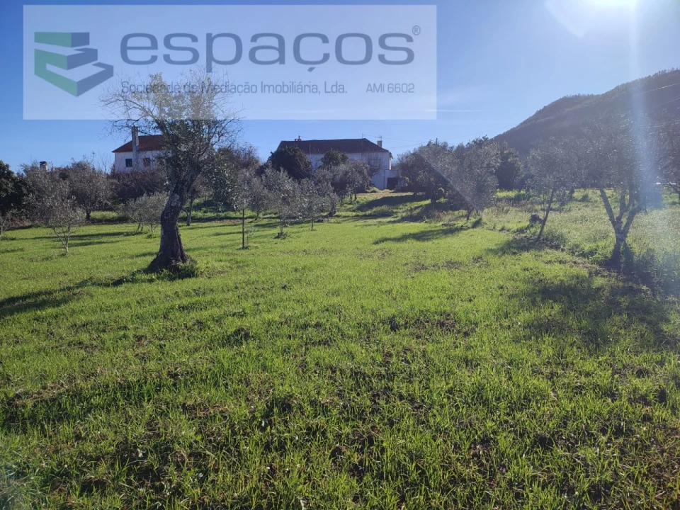 Moradia T4 para Venda em Montes da Senhora Foto 6