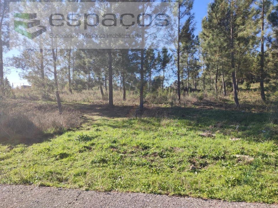 Moradia T4 para Venda em Montes da Senhora Foto 49