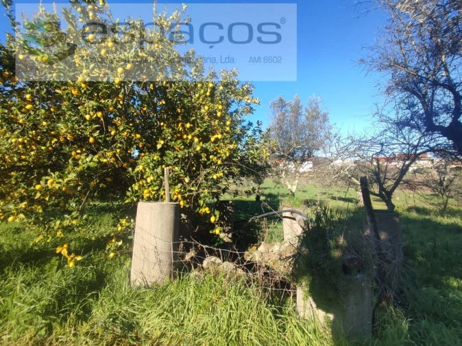 Moradia T4 para Venda em Montes da Senhora Foto 34