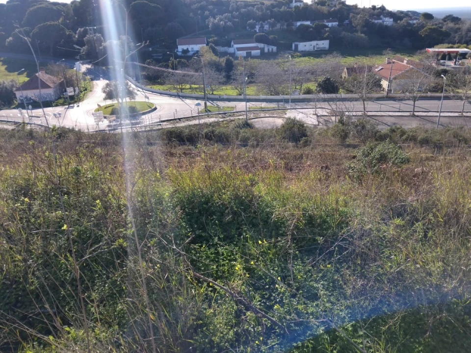 Terreno para Venda em Santiago do Cacém, Santa Cruz e São Bartolomeu da Serra Foto 6