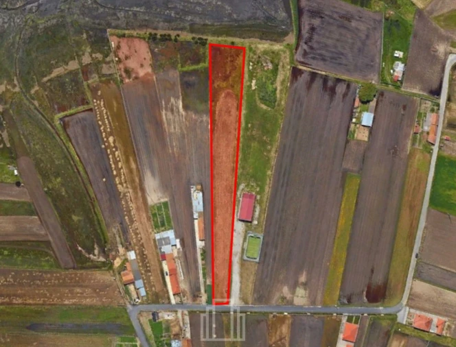 Terreno Agricola ou Rústico para Venda em Ovar, São João, Arada e São Vicente de Pereira Jusã Foto 1