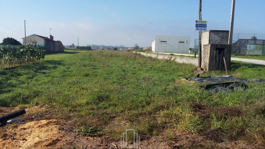 Terreno Agricola ou Rústico para Venda em Ovar, São João, Arada e São Vicente de Pereira Jusã Foto 3