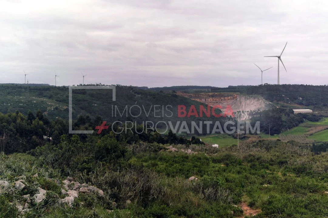 Terreno Agricola ou Rústico para Venda em São Bartolomeu dos Galegos e Moledo Foto 7