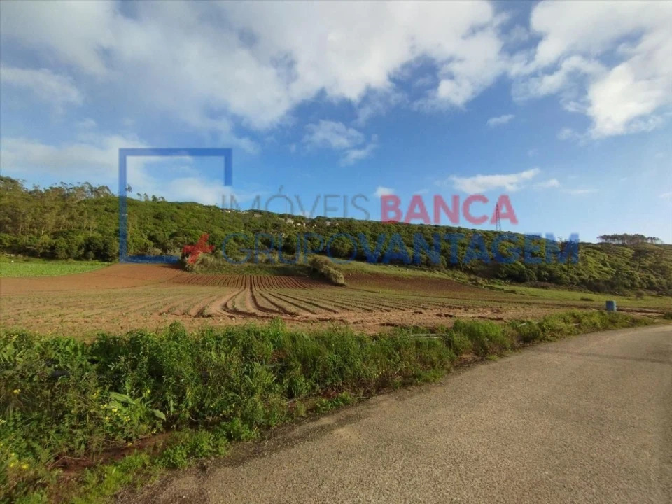 Terreno Agricola ou Rústico para Venda em São Bartolomeu dos Galegos e Moledo Foto 8