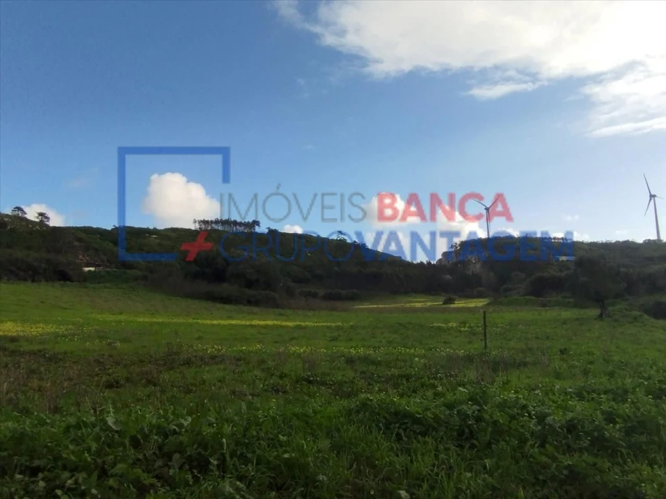 Terreno Agricola ou Rústico para Venda em São Bartolomeu dos Galegos e Moledo Foto 9