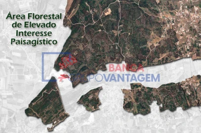 Terreno Agricola ou Rústico para Venda em São Bartolomeu dos Galegos e Moledo