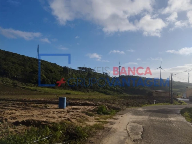 Terreno Agricola ou Rústico para Venda em São Bartolomeu dos Galegos e Moledo Foto 10
