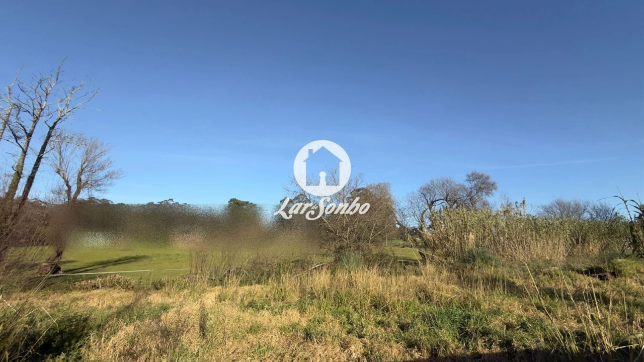 Terreno Agricola ou Rústico para Arrendamento em Mindelo Foto 7