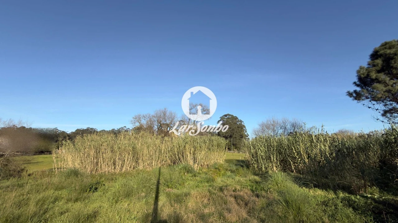 Terreno Agricola ou Rústico para Arrendamento em Mindelo Foto 8