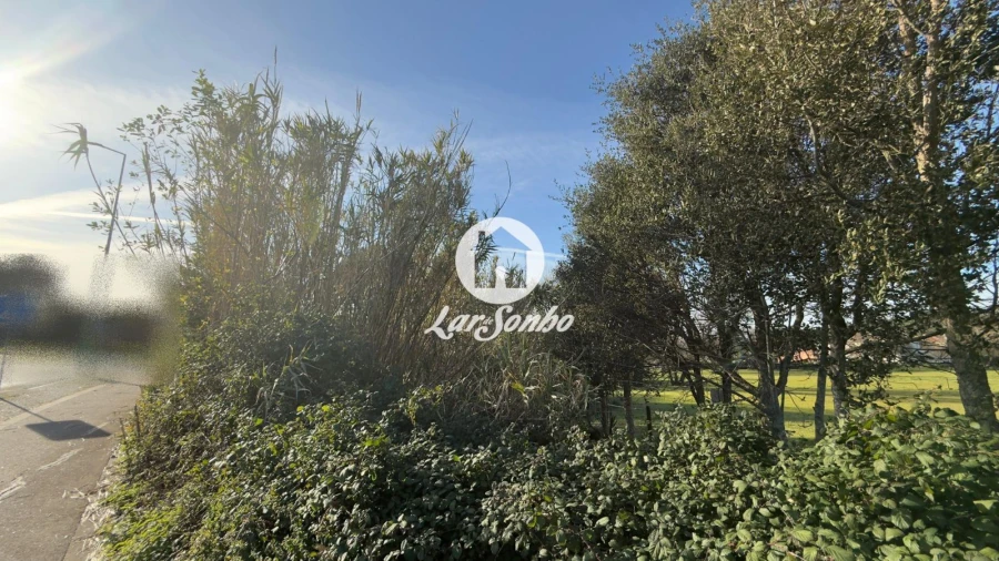 Terreno Agricola ou Rústico para Arrendamento em Mindelo Foto 4