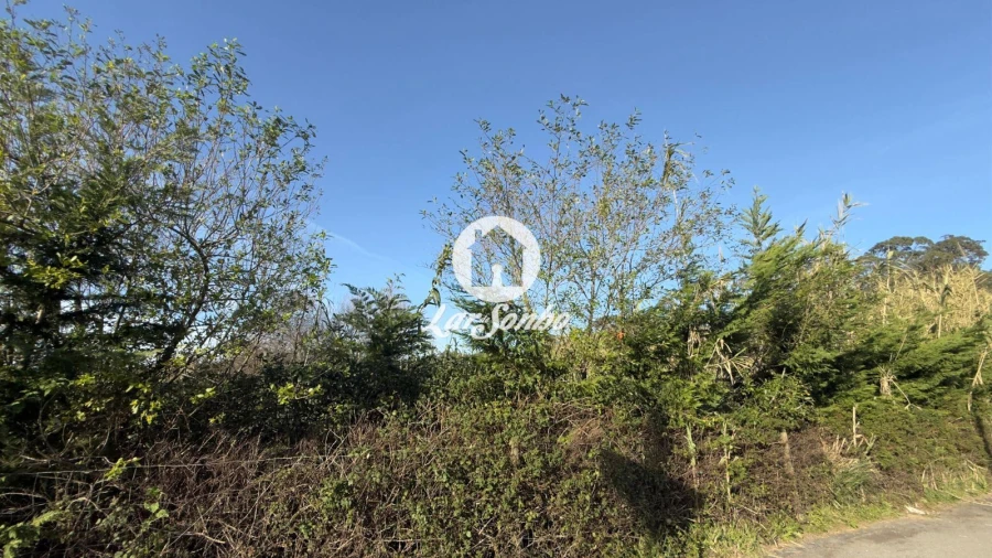 Terreno Agricola ou Rústico para Arrendamento em Mindelo Foto 5