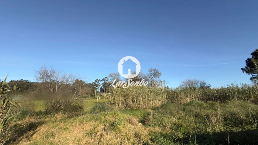 Terreno Agricola ou Rústico para Arrendamento em Mindelo Foto 6