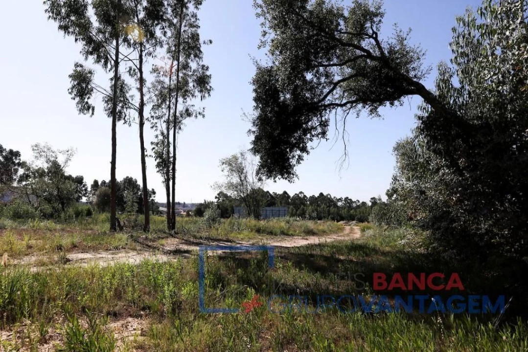 Terreno P/ Prédio para Venda em Rio Meão Foto 6
