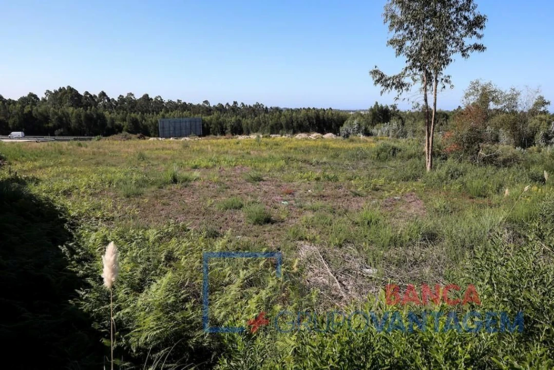Terreno P/ Prédio para Venda em Rio Meão Foto 7