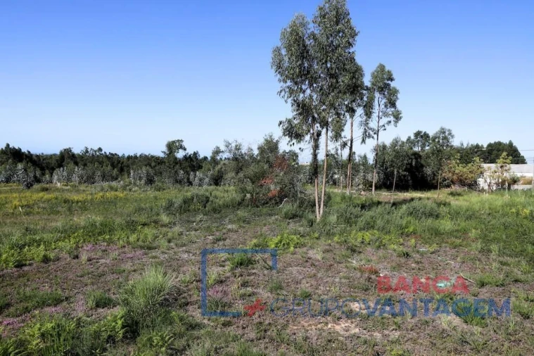Terreno P/ Prédio para Venda em Rio Meão Foto 4