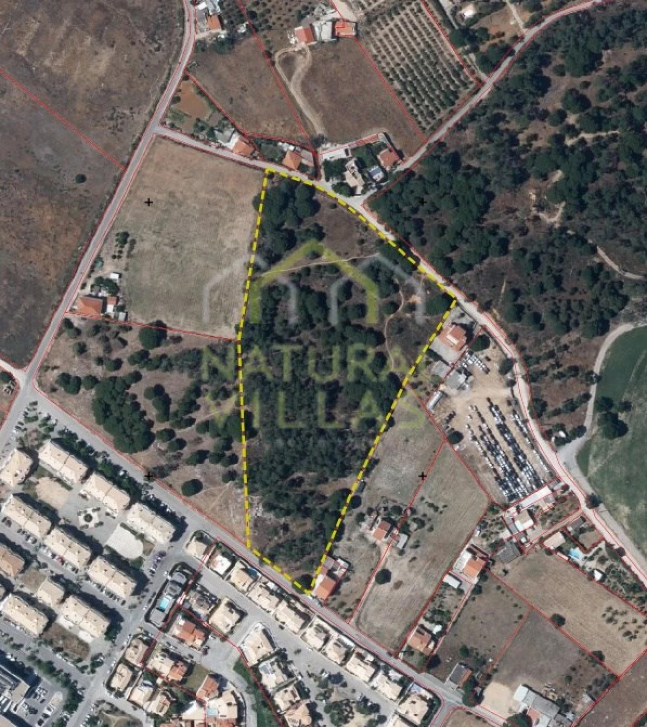 Terreno Agricola ou Rústico para Venda em Montenegro Foto 2