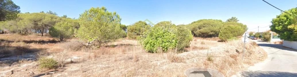 Terreno Agricola ou Rústico para Venda em Montenegro