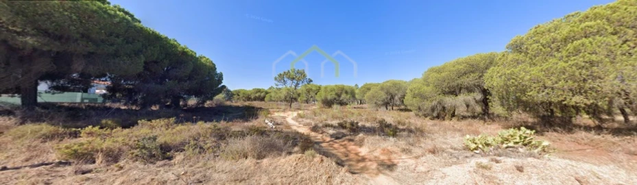 Terreno Agricola ou Rústico para Venda em Montenegro