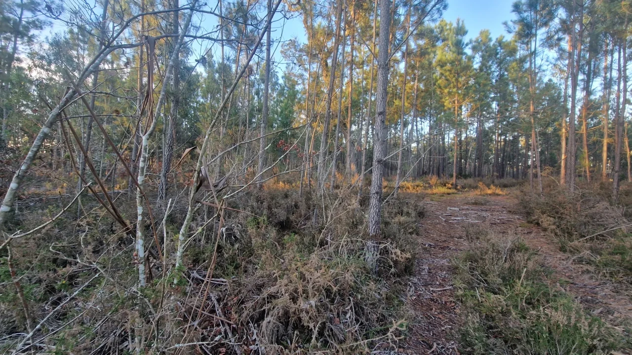 Terreno para Venda em Mouronho Foto 1