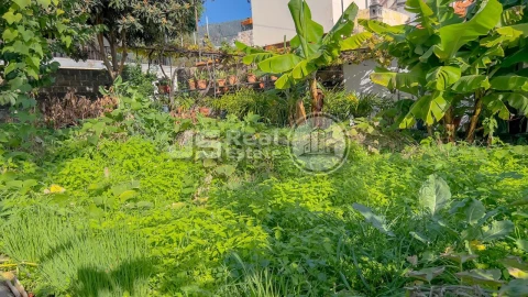 Moradia T2 para Venda em Santo Antonio