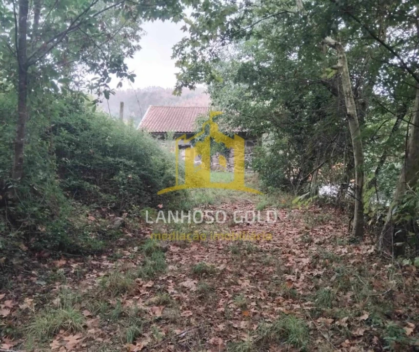 Terreno para Venda em Garfe Foto 17