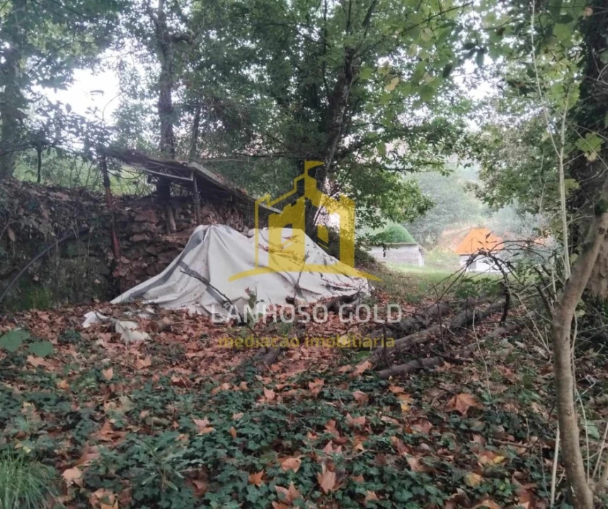 Terreno para Venda em Garfe Foto 19