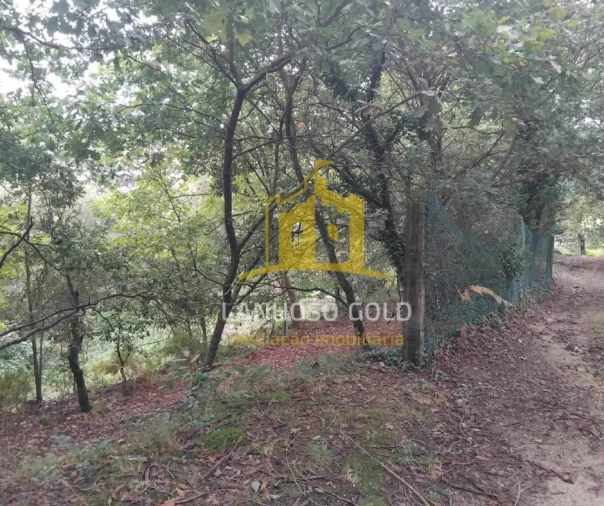 Terreno para Venda em Garfe Foto 10