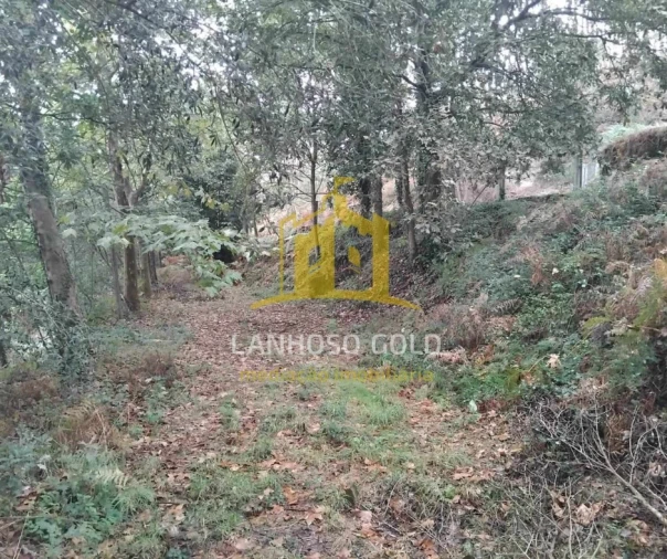 Terreno para Venda em Garfe Foto 13