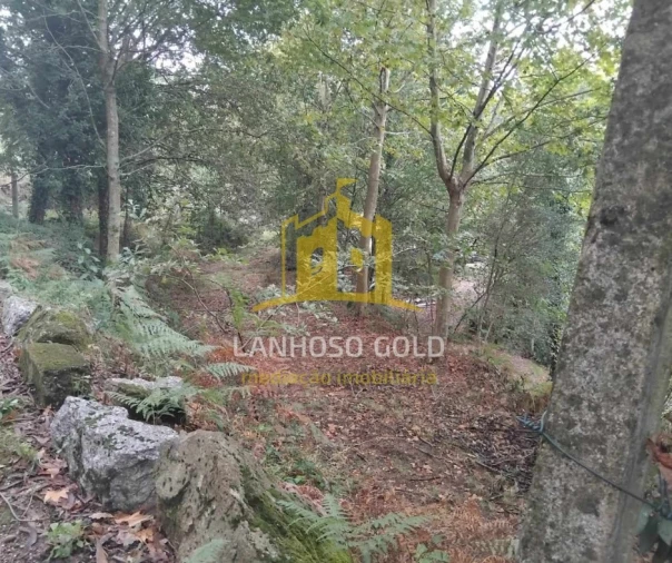 Terreno para Venda em Garfe Foto 16