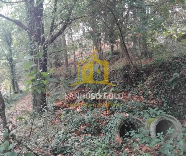 Terreno para Venda em Garfe Foto 18