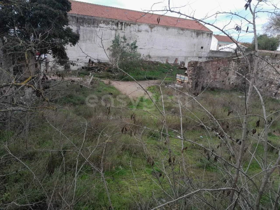 Terreno para Venda em Beja (Santiago Maior e São João Baptista) Foto 7