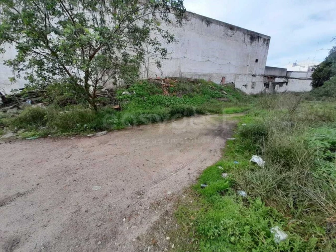 Terreno para Venda em Beja (Santiago Maior e São João Baptista) Foto 6