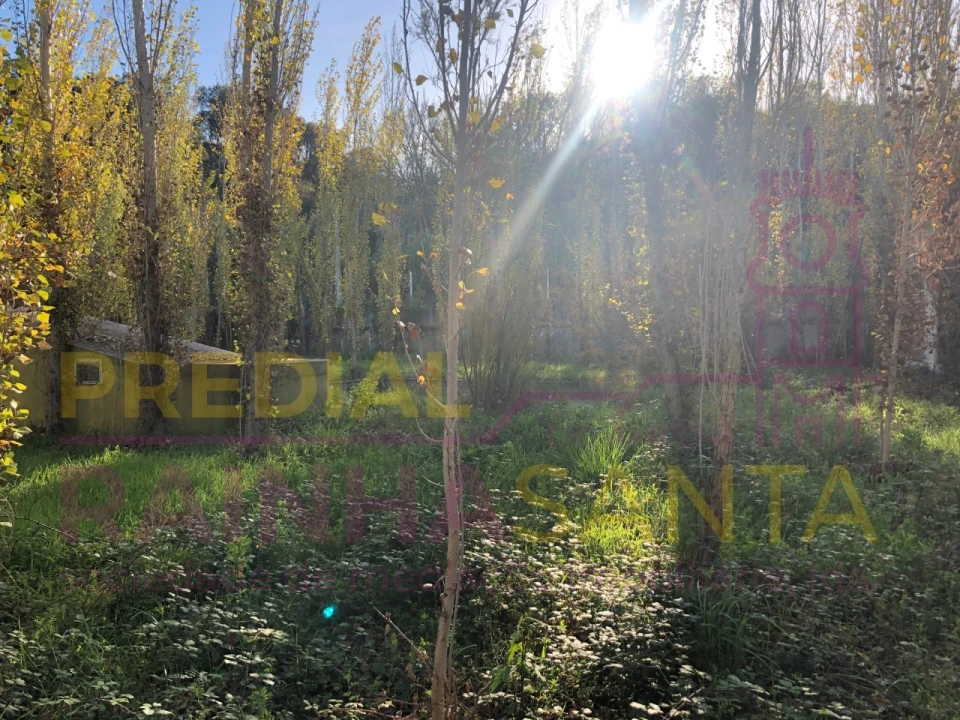 Moradia T6 para Venda em Santa Margarida da Coutada Foto 10