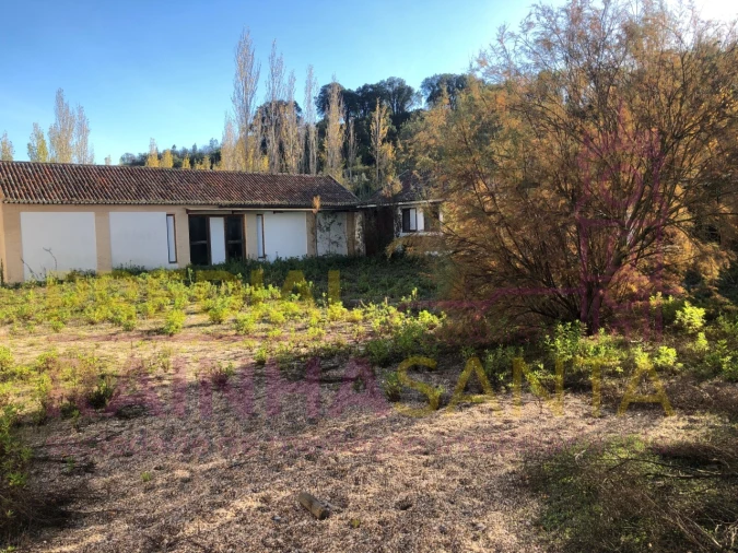 Moradia T6 para Venda em Santa Margarida da Coutada Foto 5