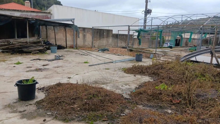 Terreno para Venda em Arranho Foto 4