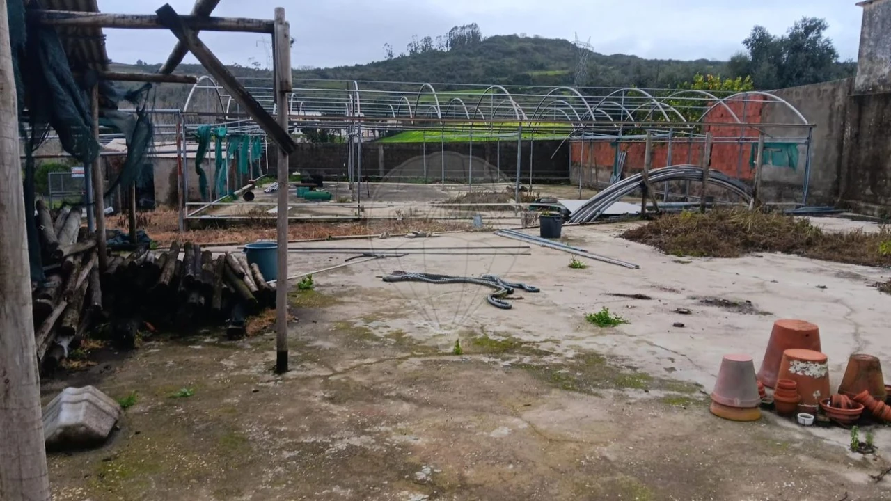 Terreno para Venda em Arranho Foto 5