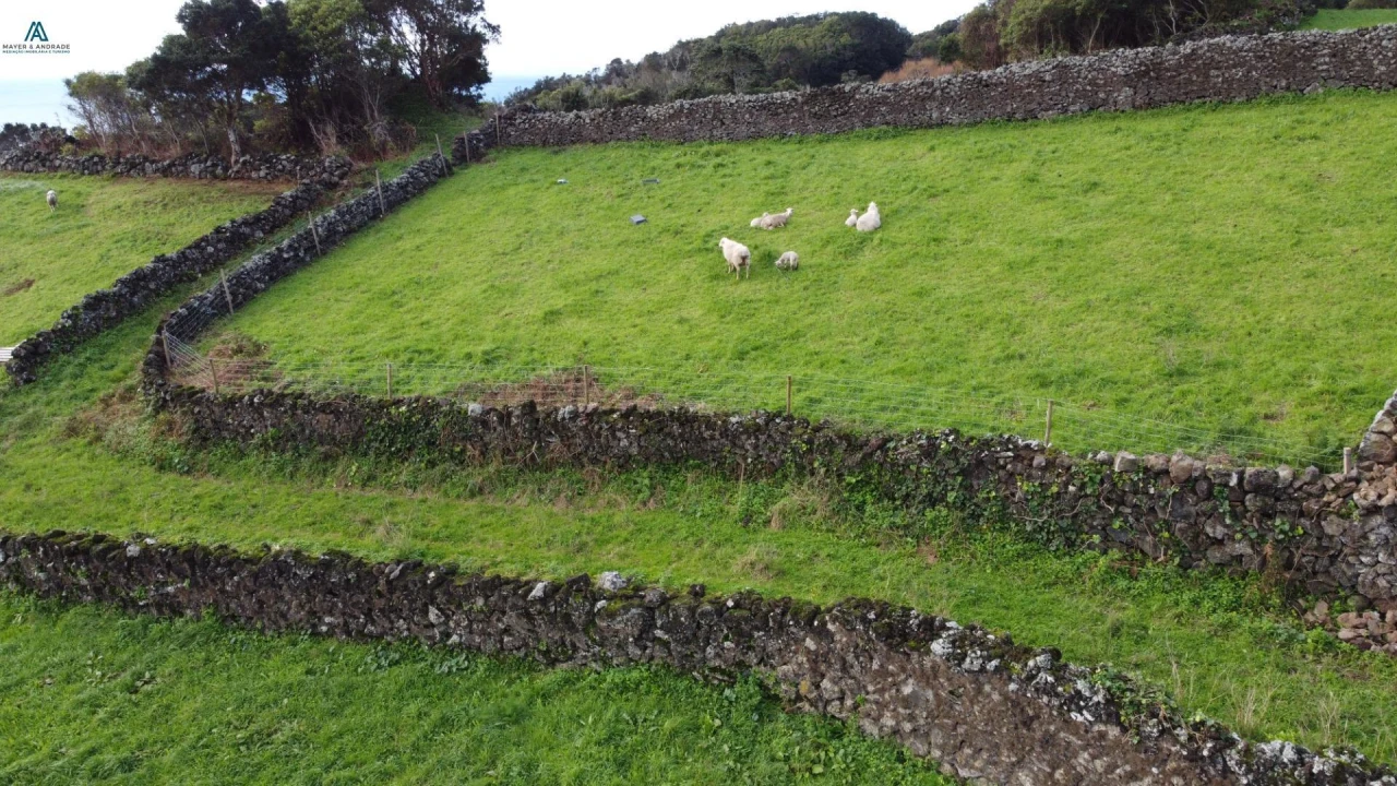 Moradia para Venda em Piedade Foto 27