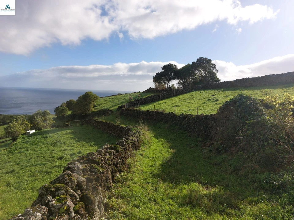 Moradia para Venda em Piedade Foto 5