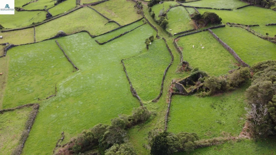 Moradia para Venda em Piedade Foto 19