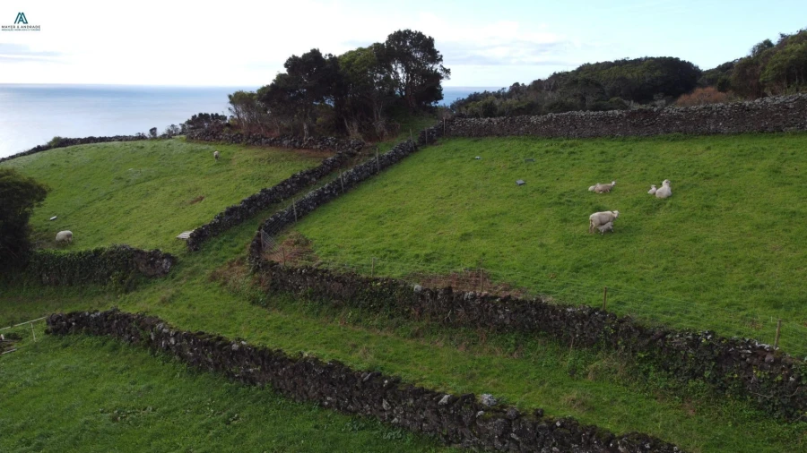 Moradia para Venda em Piedade Foto 24