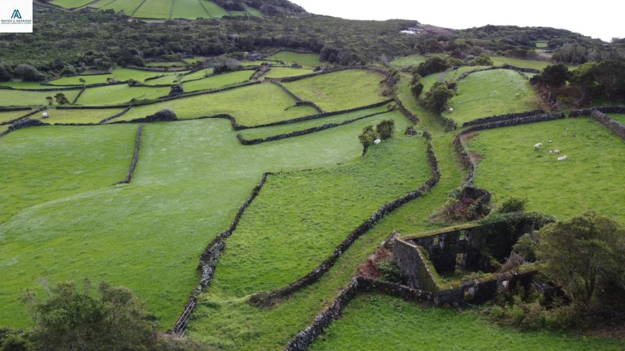 Moradia para Venda em Piedade Foto 29