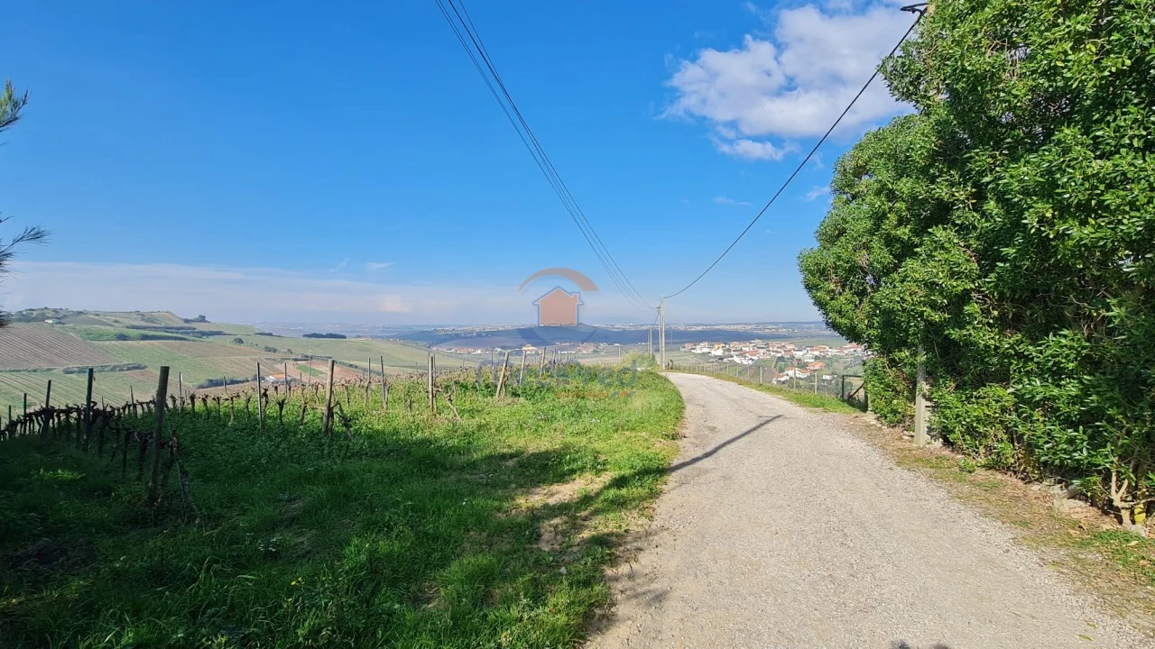 Terreno para Venda em Ventosa Foto 8