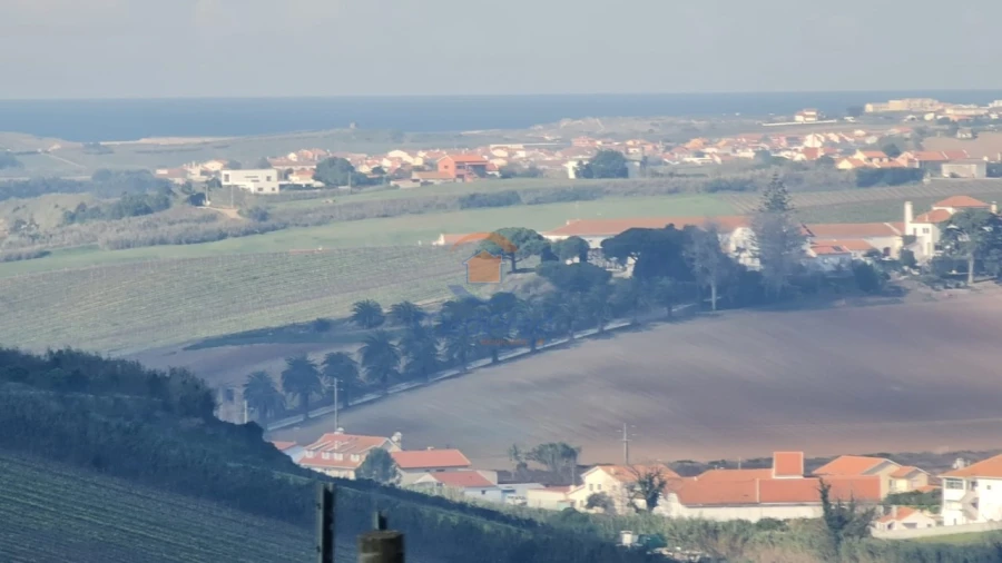 Terreno para Venda em Ventosa Foto 5