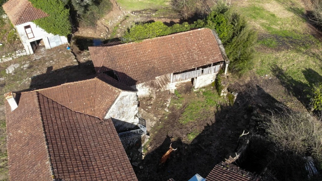 Quinta T5 para Venda em Tabuaças Foto 3