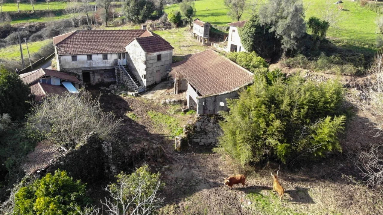 Quinta T5 para Venda em Tabuaças Foto 12