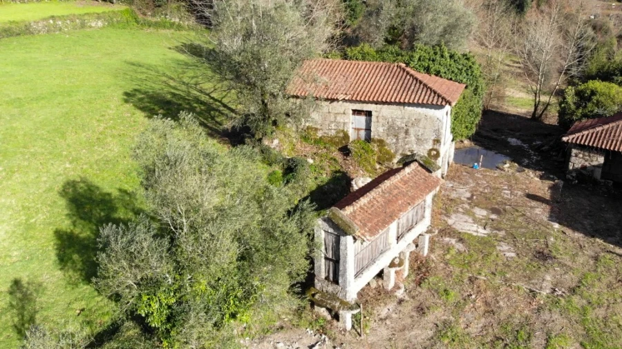 Quinta T5 para Venda em Tabuaças Foto 13