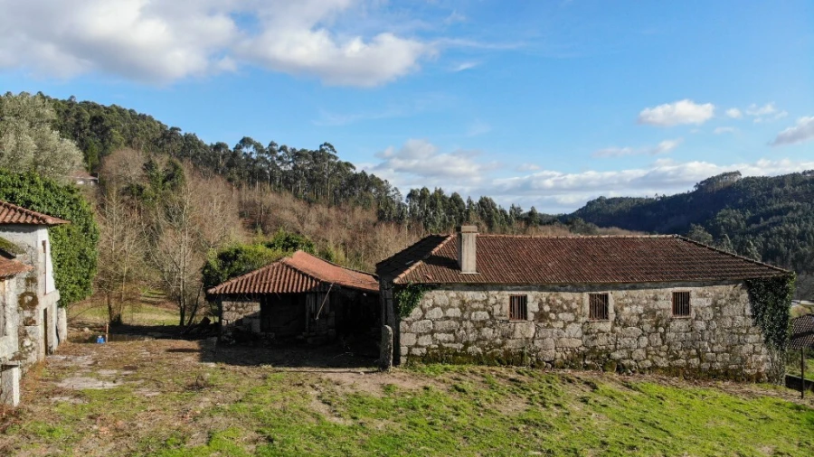 Quinta T5 para Venda em Tabuaças Foto 15