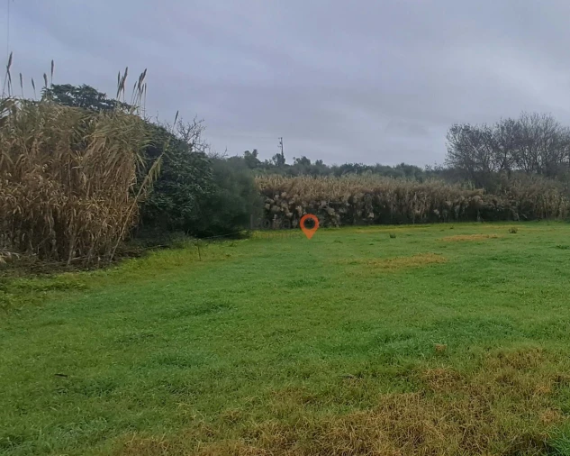 Terreno para Venda em Odiaxere Foto 4