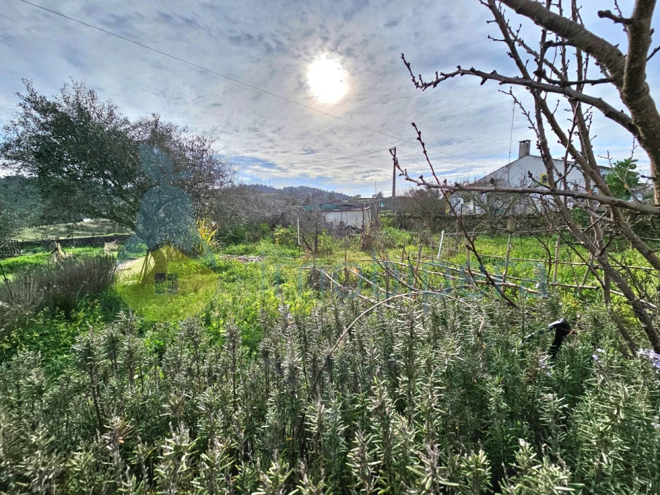 Moradia T3 para Venda em Ameixial Foto 24