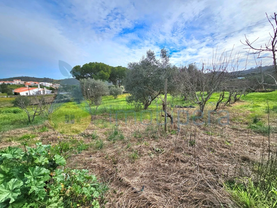 Moradia T3 para Venda em Ameixial Foto 30